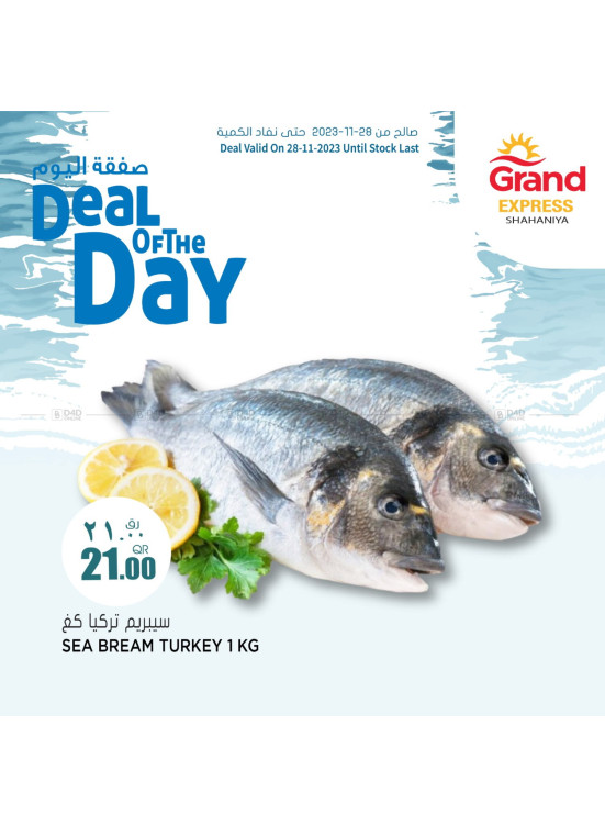 Deal of the Day - Shahaniya
