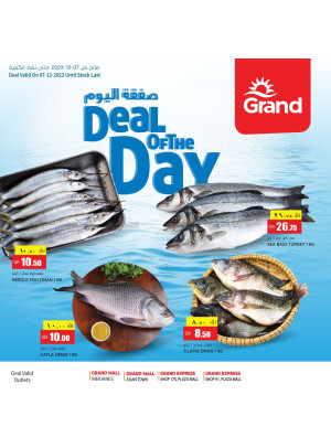Deal of The Day - Rayyan & Doha