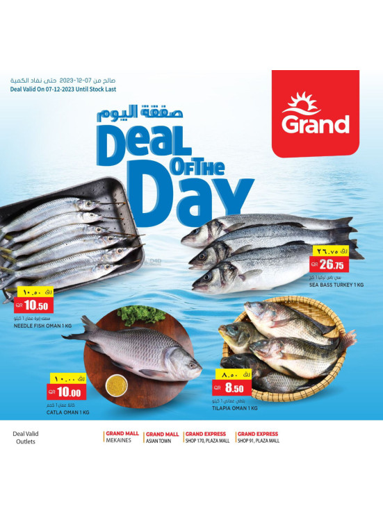 Deal of The Day - Rayyan & Doha