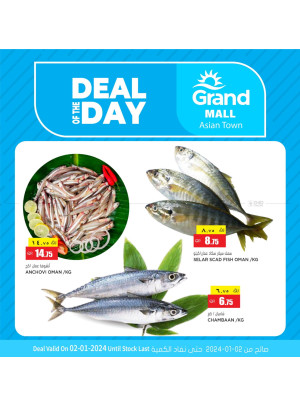 Deal of The Day - Asian Town