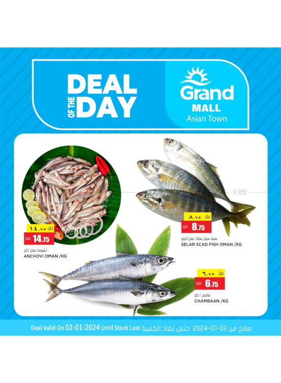 Deal of The Day - Asian Town
