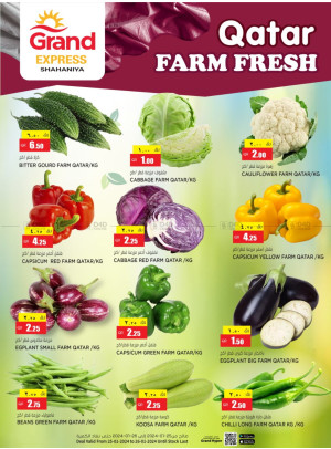 Farm Fresh Deals - Shahaniya
