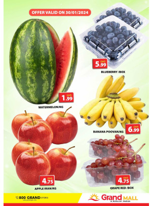 Fruitilicious Tuesday - Grand Mall Sharjah