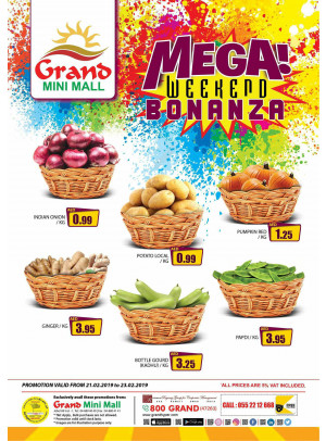 Mega Weekend Bonanza - Grand Mini Mall