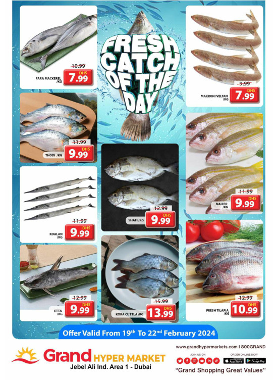 Catch of The Day - Grand Hypermarket Jebel Ali