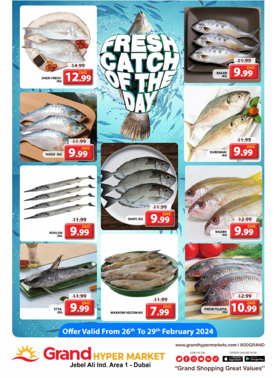 Catch of The Day - Grand Hypermarket Jebel Ali