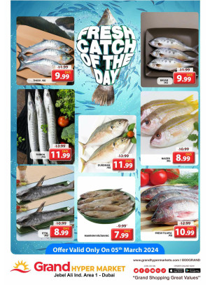 Catch of The Day - Grand Hypermarket Jebel Ali