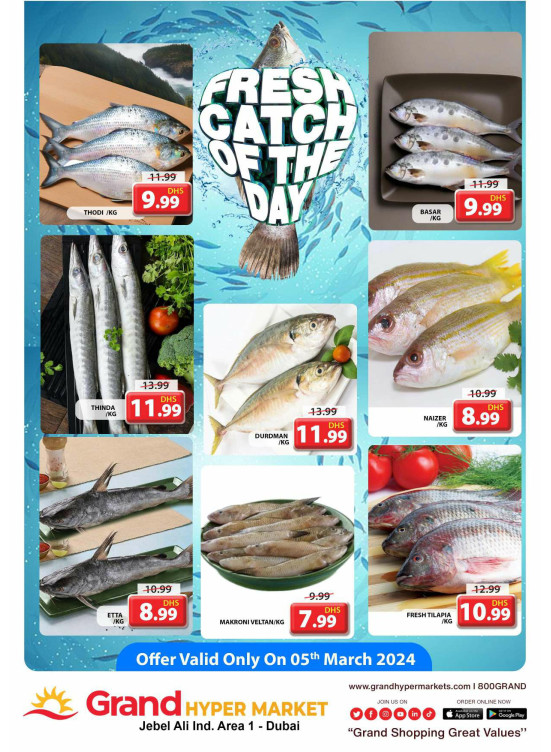 Catch of The Day - Grand Hypermarket Jebel Ali