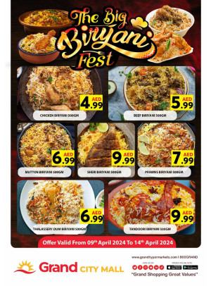 The Big Biryani Fest - Grand City Mall