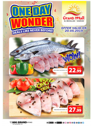 One Day Wonder - Grand Mall Sharjah