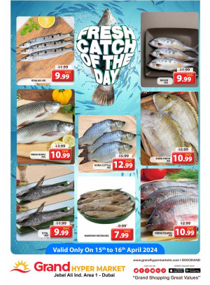 Catch of The Day - Grand Hypermarket Jebel Ali