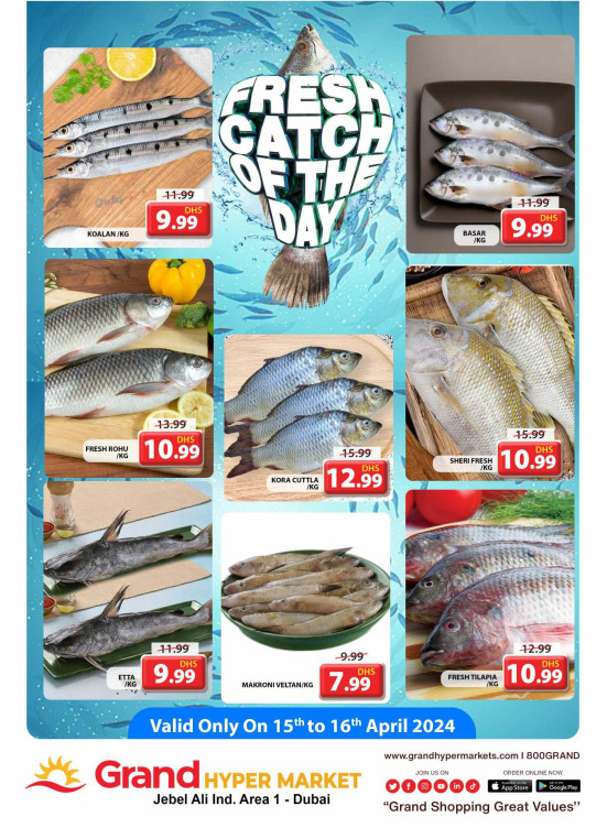 Catch of The Day - Grand Hypermarket Jebel Ali
