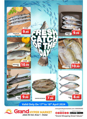 Catch of The Day - Grand Hypermarket Jebel Ali