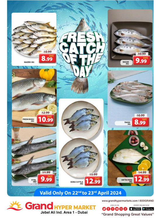 Catch of The Day - Grand Hypermarket Jebel Ali