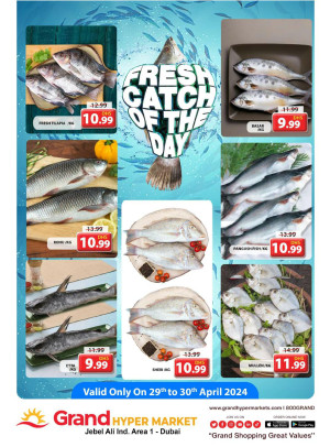 Catch of The Day - Grand Hypermarket Jebel Ali