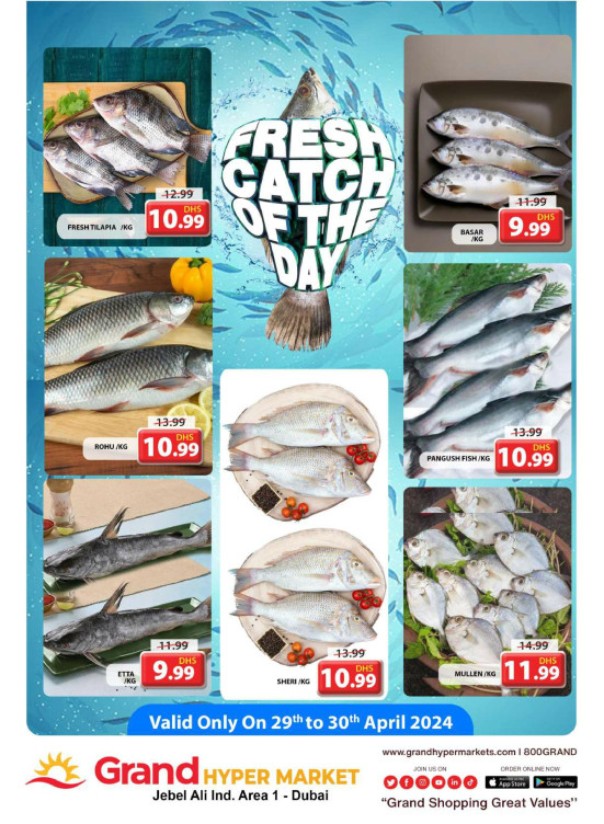 Catch of The Day - Grand Hypermarket Jebel Ali