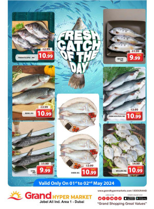 Catch of The Day - Grand Hypermarket Jebel Ali