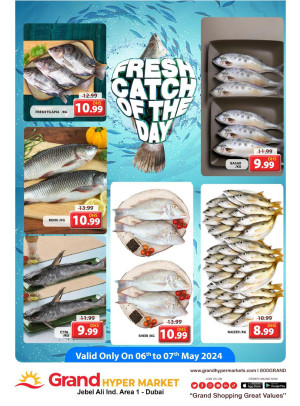 Catch of The Day - Grand Hypermarket Jebel Ali