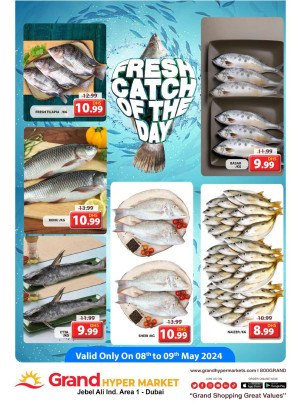 Catch of The Day - Grand Hypermarket Jebel Ali