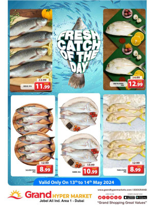 Catch of The Day - Grand Hypermarket Jebel Ali