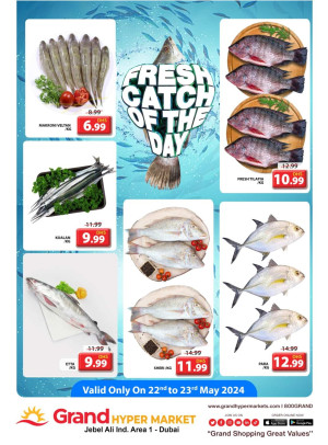 Catch of The Day - Grand Hypermarket Jebel Ali