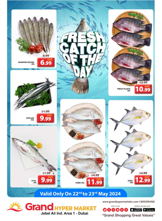 Catch of The Day - Grand Hypermarket Jebel Ali