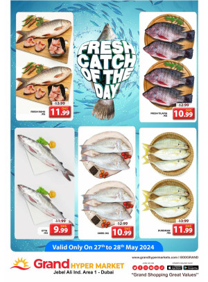 Catch of The Day - Grand Hypermarket Jebel Ali
