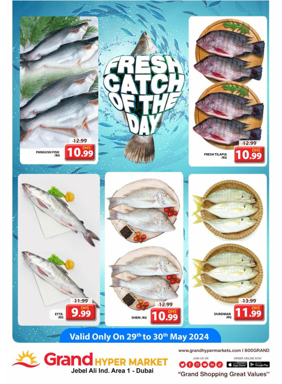 Catch of The Day - Grand Hypermarket Jebel Ali