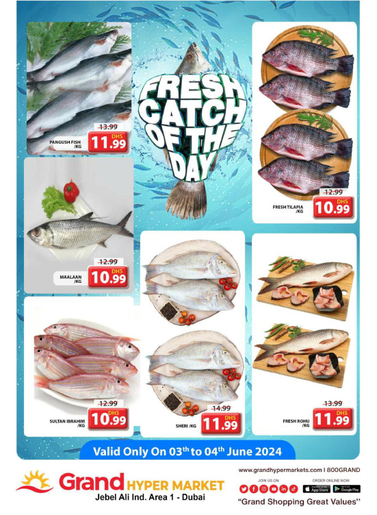 Catch of The Day - Grand Hypermarket Jebel Ali
