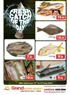 Catch of The Day - Grand Hypermarket Jebel Ali