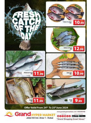 Catch of The Day - Grand Hypermarket Jebel Ali