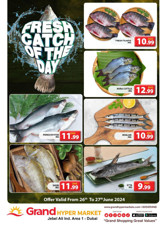 Catch of The Day - Grand Hypermarket Jebel Ali