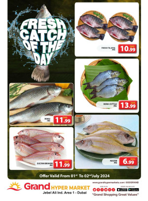Catch of The Day - Grand Hypermarket Jebel Ali