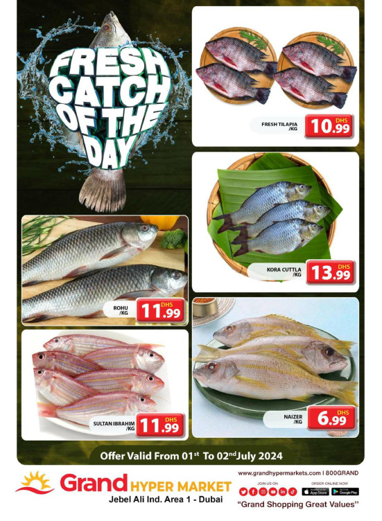 Catch of The Day - Grand Hypermarket Jebel Ali