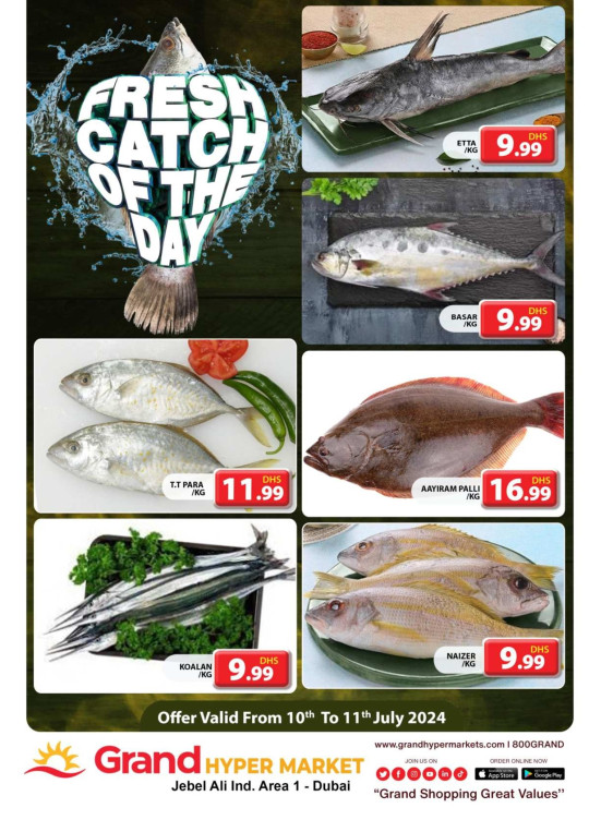 Fresh Catch of The Day - Grand Hypermarket Jebel Ali