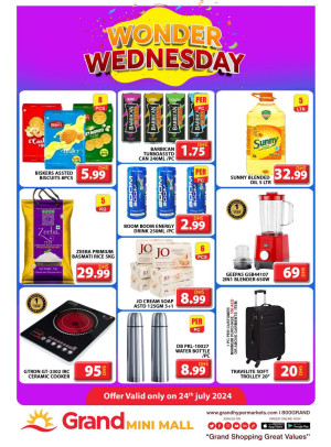 Wonder Wednesday - Grand Mini Mall