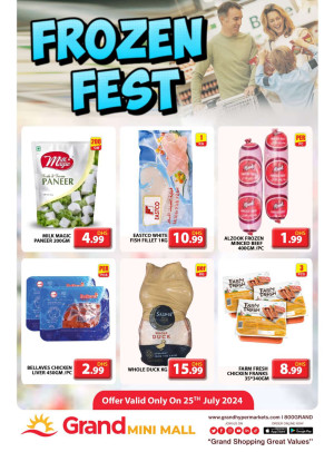 Frozen Fest - Grand Mini Mall