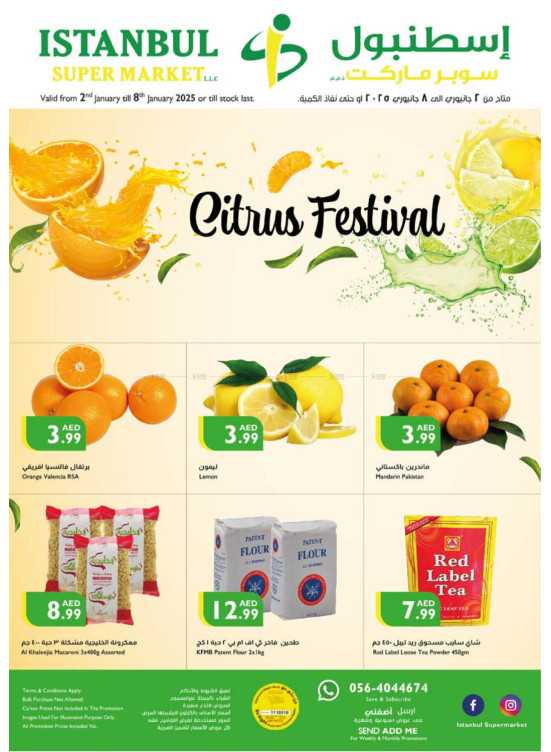 Citrus Festival