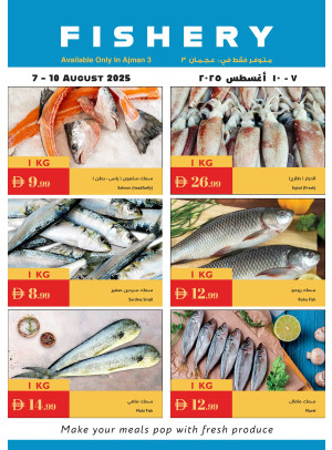 عروض الأسماك - عجمان