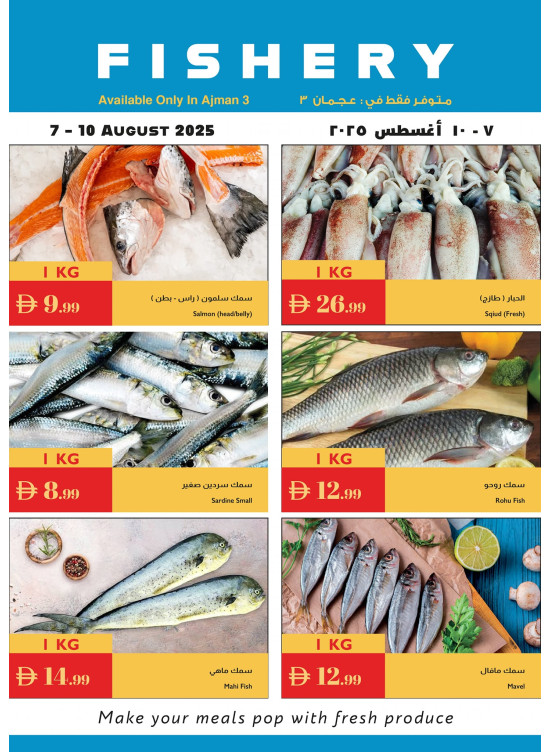 عروض الأسماك - عجمان