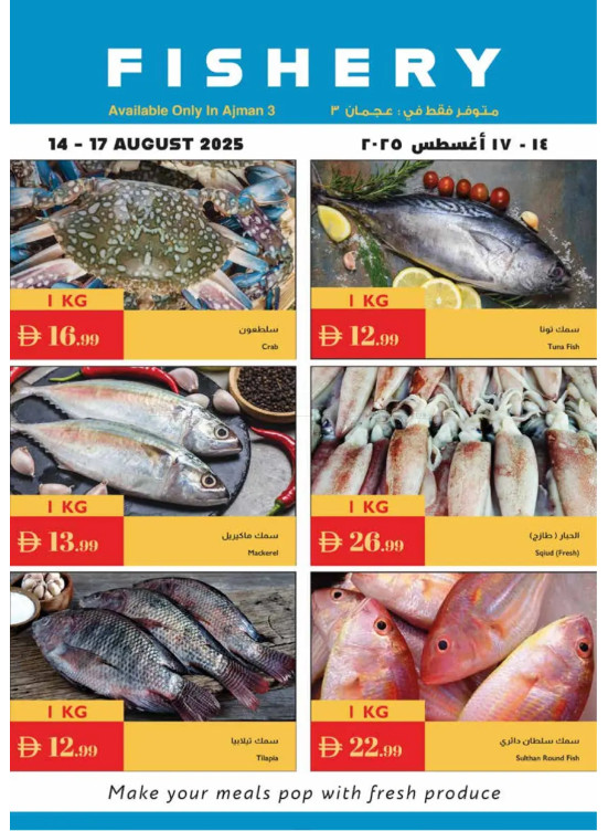 عروض الأسماك - عجمان