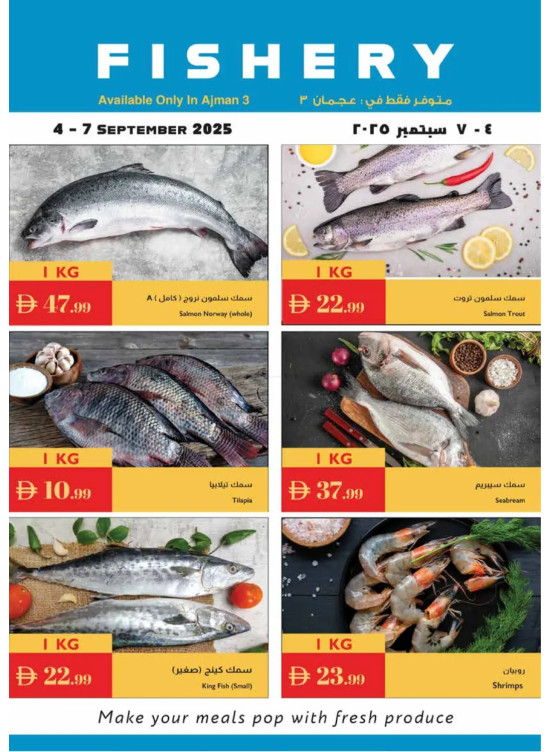 عروض الأسماك - عجمان