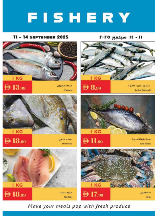 عروض الأسماك