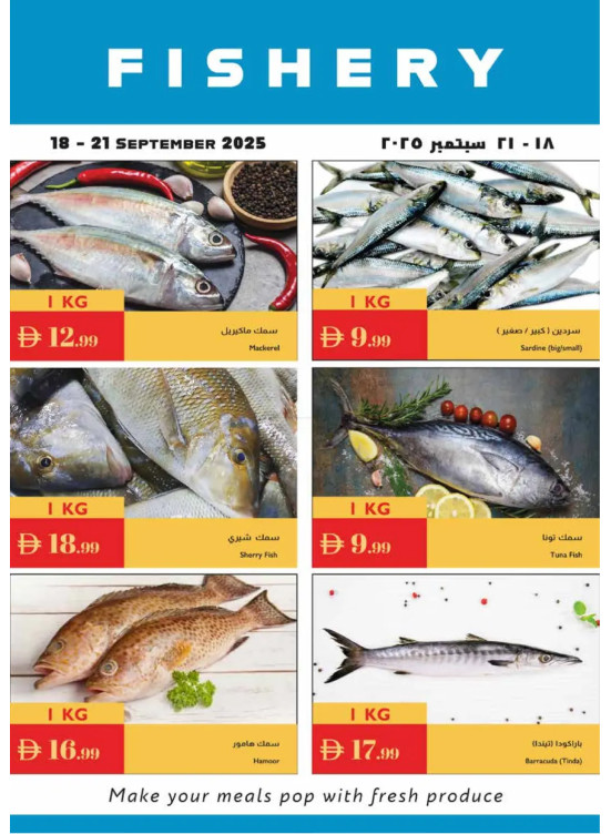عروض الأسماك