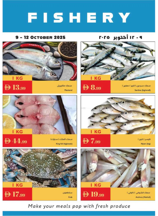 عروض الأسماك
