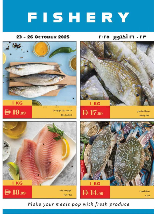 عروض الأسماك