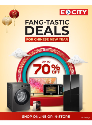 Chinese New Year Sale