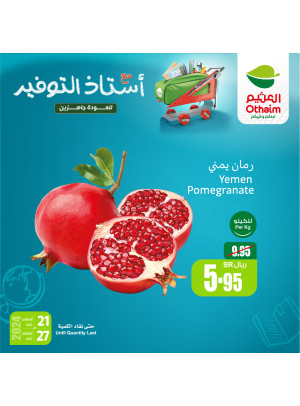 Back to School Offers, Vol 8