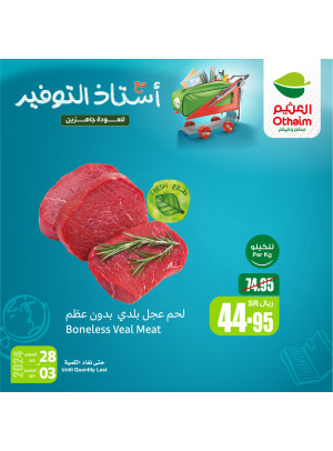 Back to School Offers, Vol 8