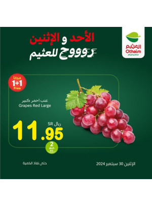 عروض الأحد والأثنين، العدد الثاني